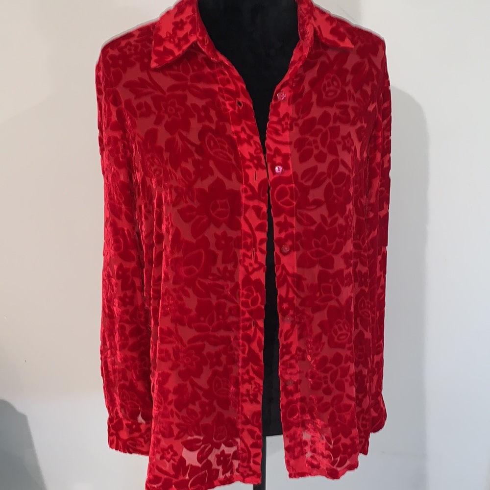 Vintage Sheer Red Floral Burn-Out Velvet Button Down Blouse